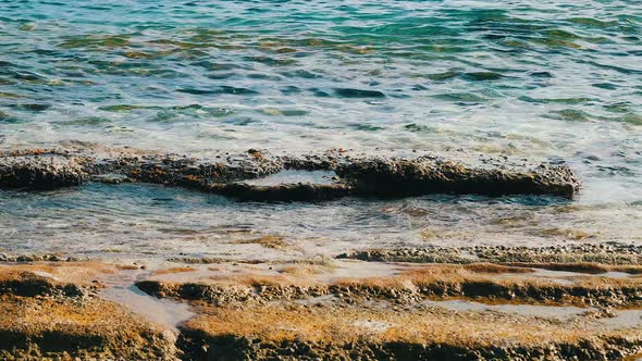 Sea Waves on Shore