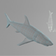 Shark BASE MESH - 3DOcean Item for Sale