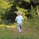 Little boy walking along the path in the forest - VideoHive Item for Sale