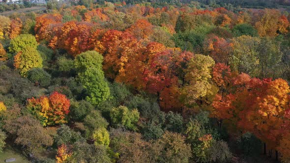 Autumn landscape in Loshitsky Park in Minsk. Belarus.Golden autumn