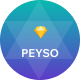 Preview icon