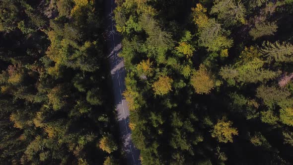 Aerial overhead view of a curvy mountain road during fall. Cars passing by.