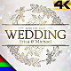 Wedding Ceremony 4K - VideoHive Item for Sale