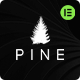 Preview icon