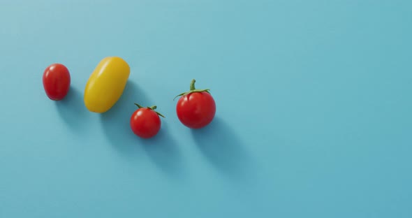 Video of four fresh cherry and yellow tomatoes with copy space on blue background