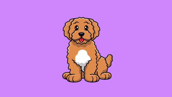 Dog animation