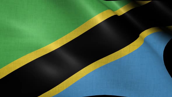 Tanzania Flag