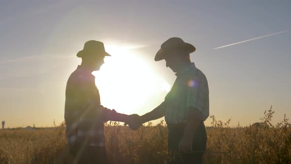 Handshake Of Farmer And Worker In Hat In Agricultural Field Background Sunset