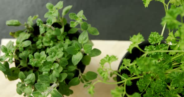 Various herbs in bowl 4k