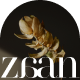 Preview icon
