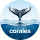 Corales - Scuba Diving Club WordPress Theme - ThemeForest Item for Sale