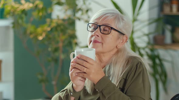 Portrait Of A Beautiful Elderly Woman with a Mug of Tea Retirement Age