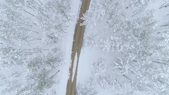 Aerial Forest and Gravel Road Between Trees 