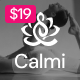 Calmi - Yoga Studios & Personal Instructors WordPress Theme - ThemeForest Item for Sale