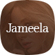 Preview icon