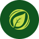 Preview icon