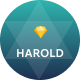 Preview icon