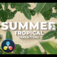Summer Travel Tropical Palm Leaf Transitions Davinci Resolve - VideoHive Item for Sale
