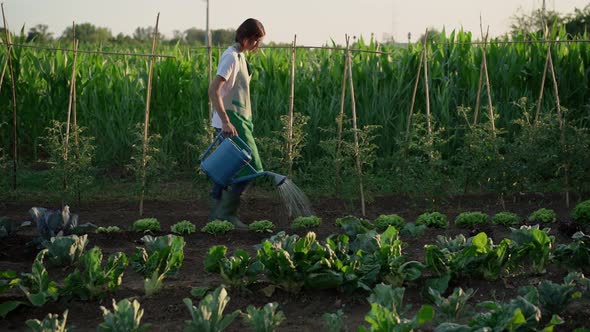 Woman watering plants in a vegetable garden