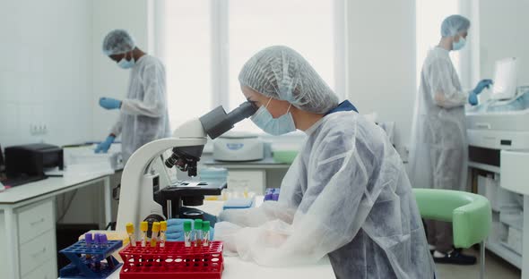 A Team of Laboratory Technicians Work in a Modern Wellequipped Laboratory