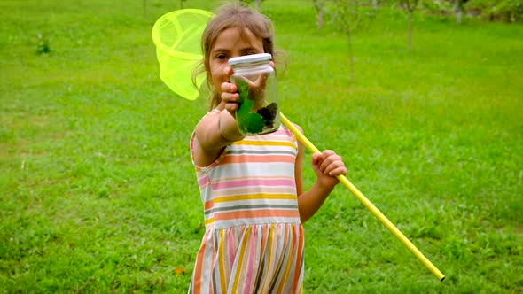 A Child Girl Catches Butterflies with a Butterfly Net