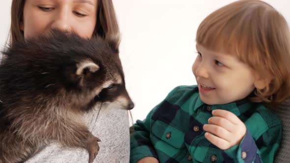 Family Plays with a Domestic Raccoon on a White Background Isolate