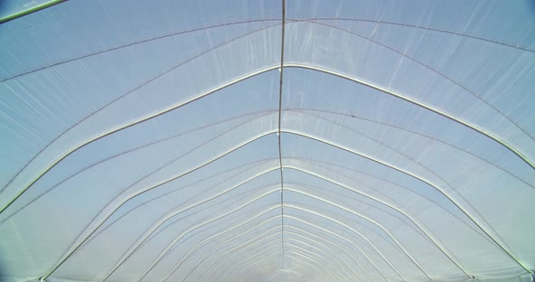 Large Plantation with Strawberries Covered with Plastic Film