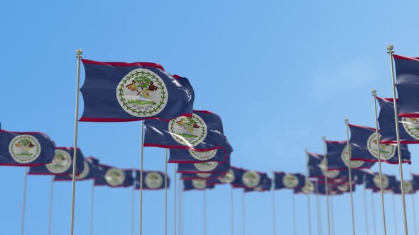 Belize Row Of Flags 3D Animation