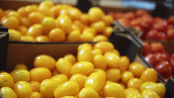 Woman's Hand Choosing Yellow Tomatoes Buying Products in Supermarket