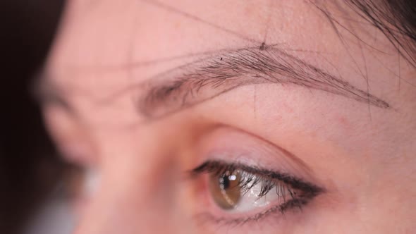 Closeup of a Drawn Eyebrow on Points