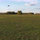 The Boy Runs with a Kite on a Green Field - VideoHive Item for Sale