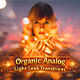 Organic Analog Light Leak Transitions - VideoHive Item for Sale