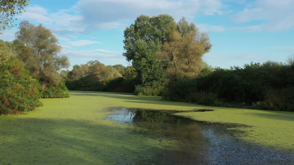 Flight Over A Beautiful Lake Dotted With Green Vegetation 5