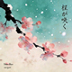 Sakura Bloom