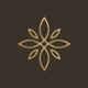 Preview icon