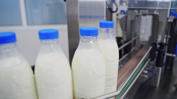 Milk bottles on a conveyor line