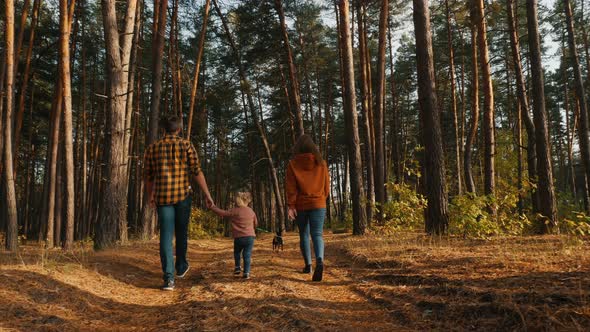 A Family of Three with a Dog Are Walking in a Pine Forest