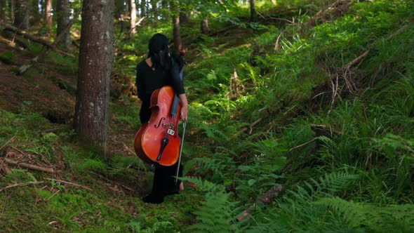 Young woman with cello in woods