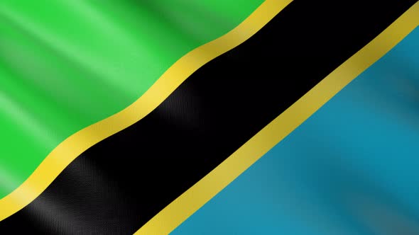 Flag of The Tanzania