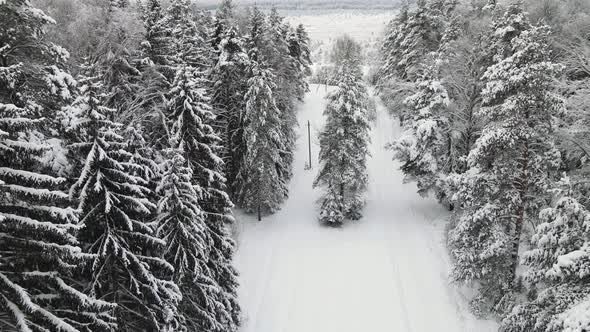 Wonderfully Snow Covered Winter Forest in Cool Weather Aerial View