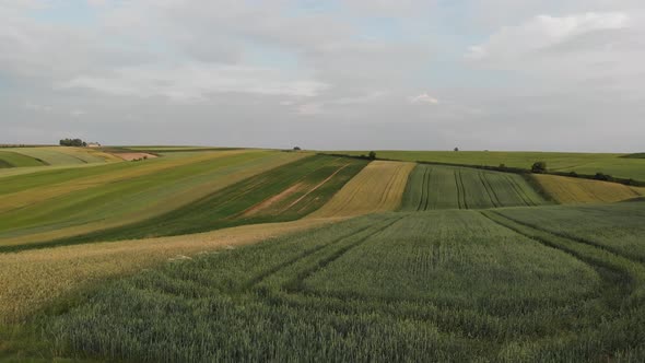 Aerial footage with flight over agricultural field.