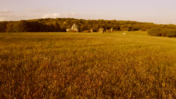 Wide Meadow Field in Evening