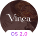 Preview icon