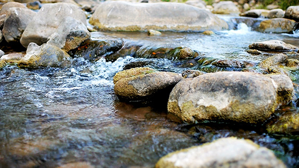 Stream Flowing Water 1