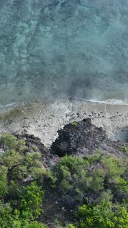 Vertical Video of the Ocean Near the Coast of Zanzibar Tanzania