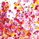 Flowers Transition Pack - VideoHive Item for Sale