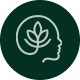 Preview icon