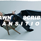 Drawn Scribble Transition - VideoHive Item for Sale