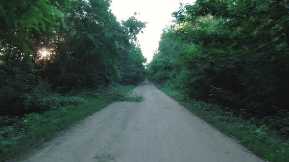 POV Footage of a Road Trip Through a Green Forest