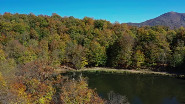 Aerial Drone Pan Shot of Autumn Forest Trees Near Gosh Lake in Armenia